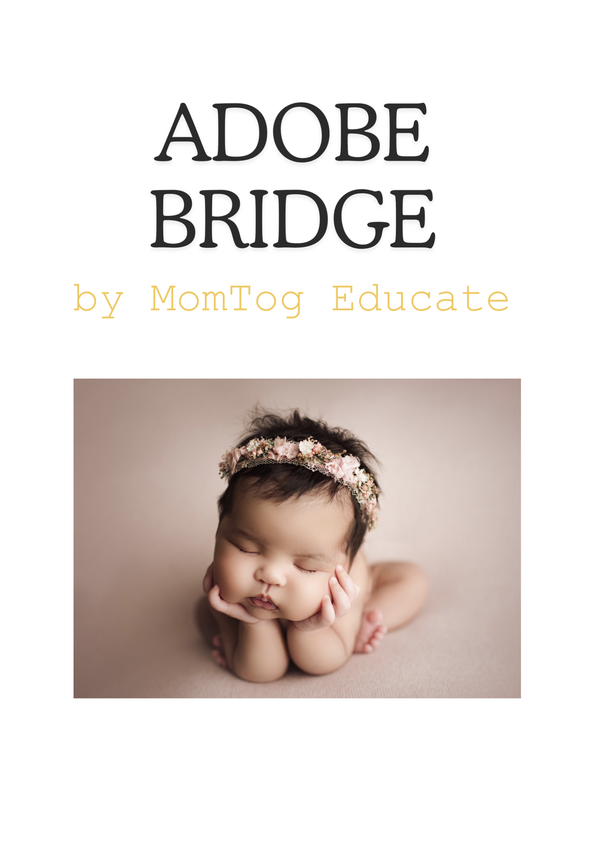 Adobe Bridge Step By Step - MomTog Educate