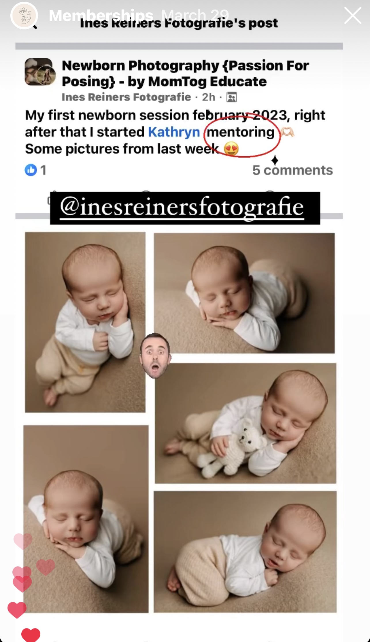 newborn photography mentoring newborn photography mentoring