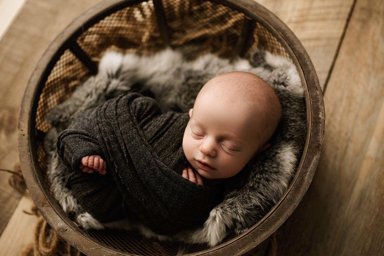 beginner newborn photography courses