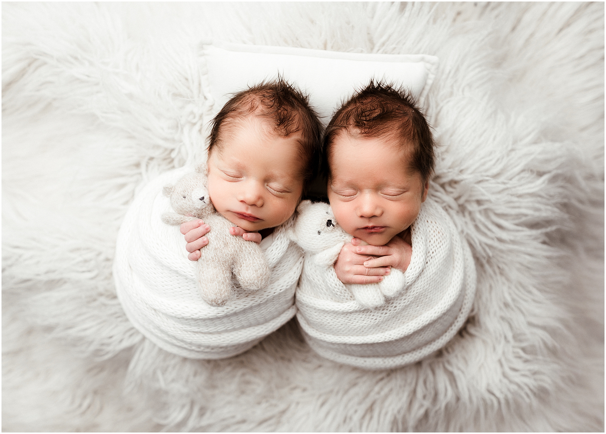 newborn photography online workshop newborn twins photography posing workshop