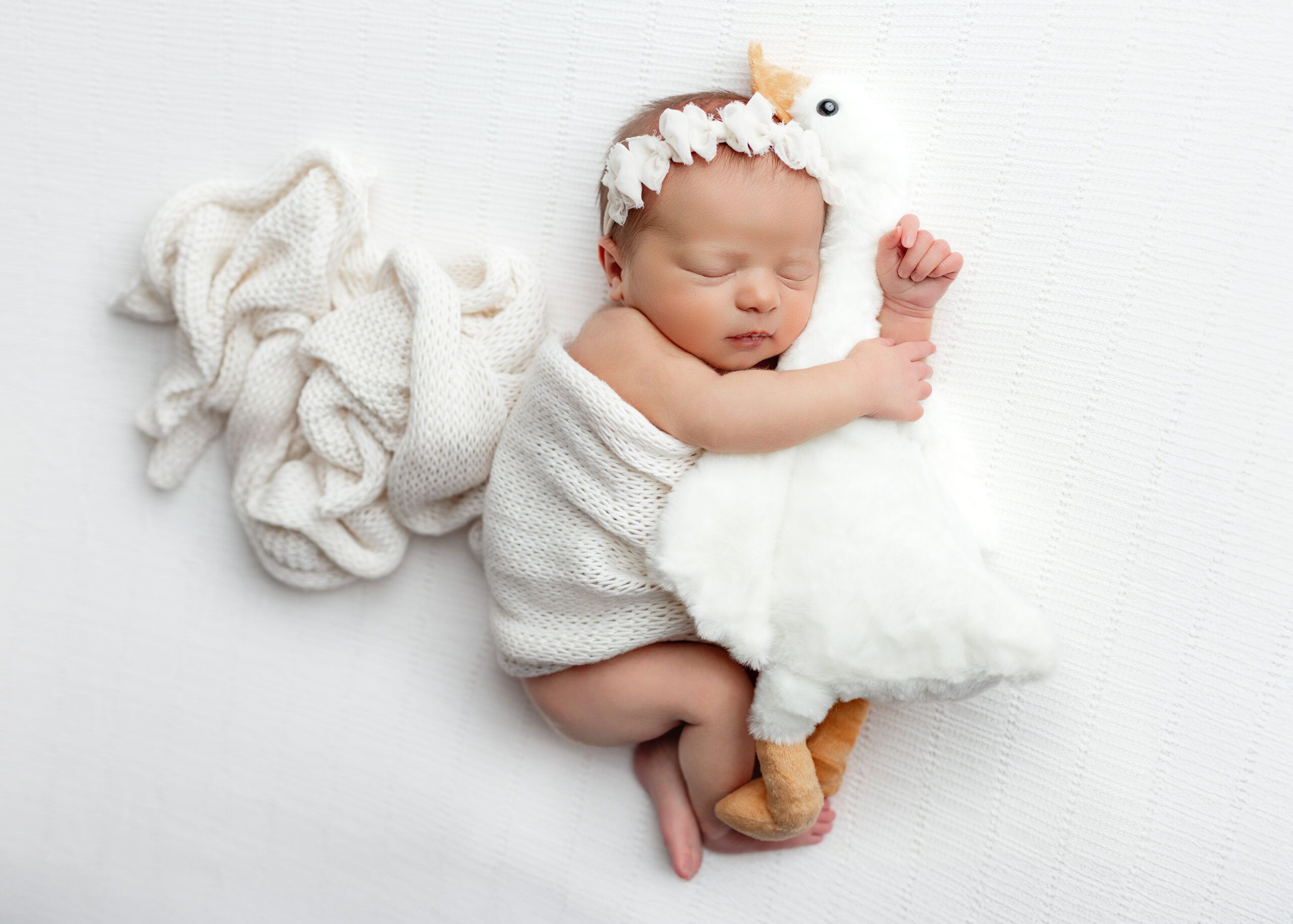 Newborn and Maternity Photgrapher