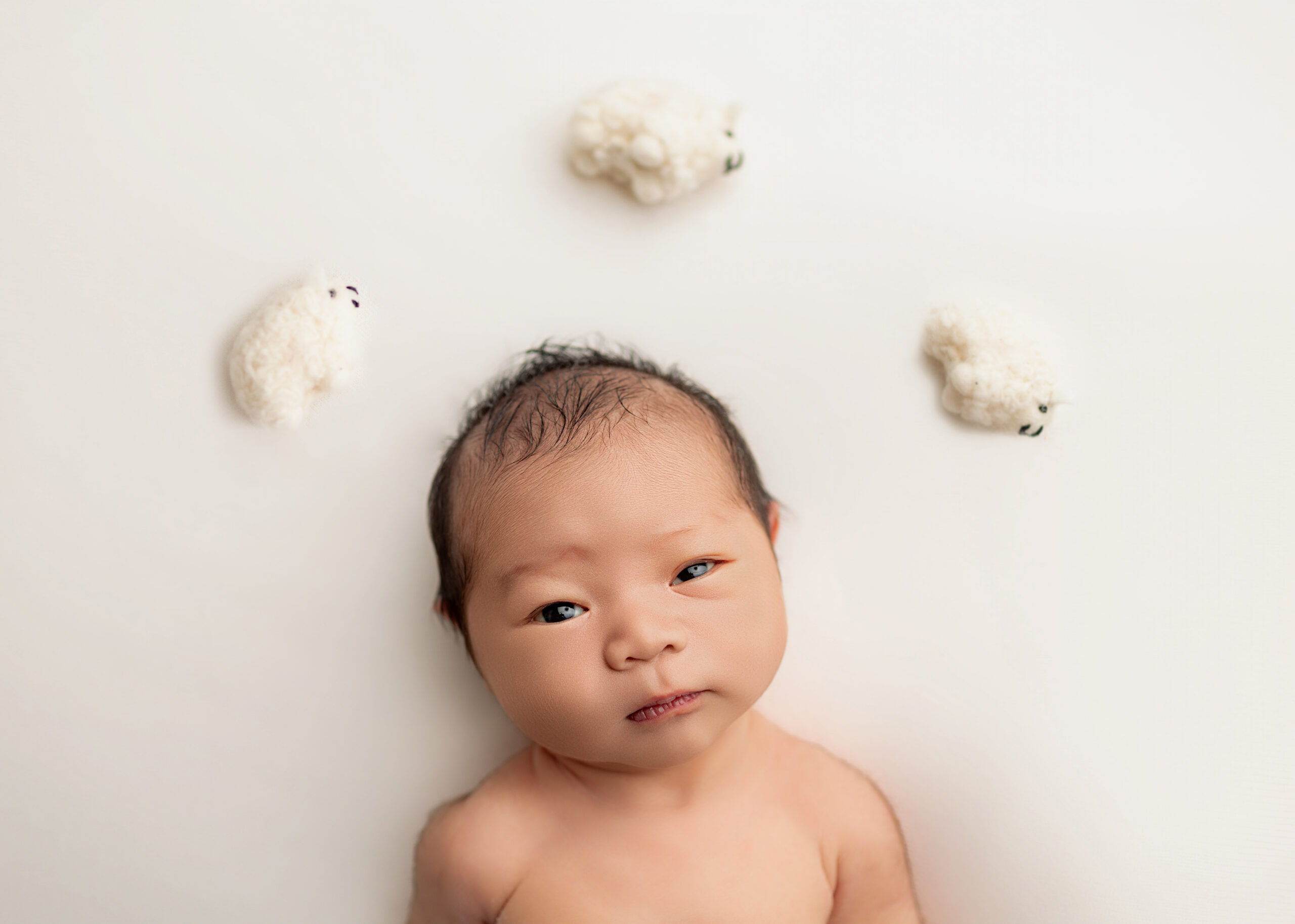baby boy, eyes open, sheep over his head