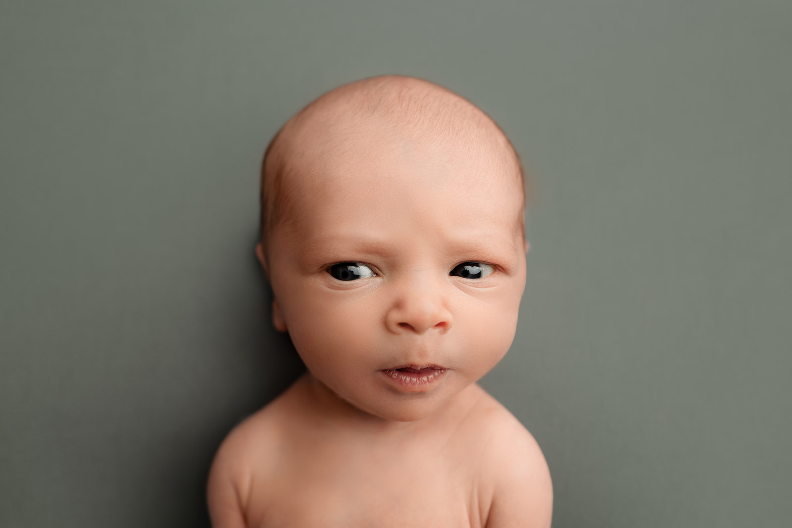 online photography education, photography mentor